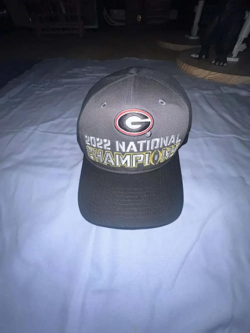 Nike Georgia Bulldogs 2022 National Champions Locker Room Adjustable Hat